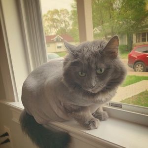 Meet your Posher, Casey